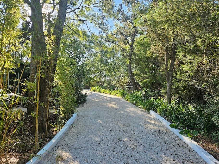 Casa Seahorses B Cottage Sintra Exterior photo